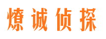 武都市场调查